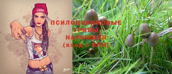 прущий лед Куйбышев