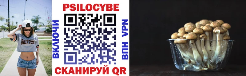 OMG маркетплейс  купить наркоту  Златоуст  Галлюциногенные грибы Cubensis 