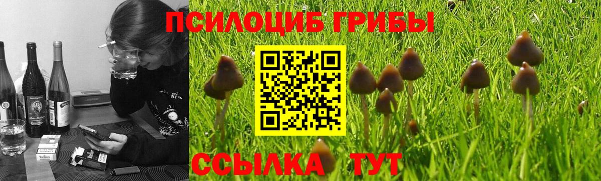 Галлюциногенные грибы MAGIC MUSHROOMS Златоуст