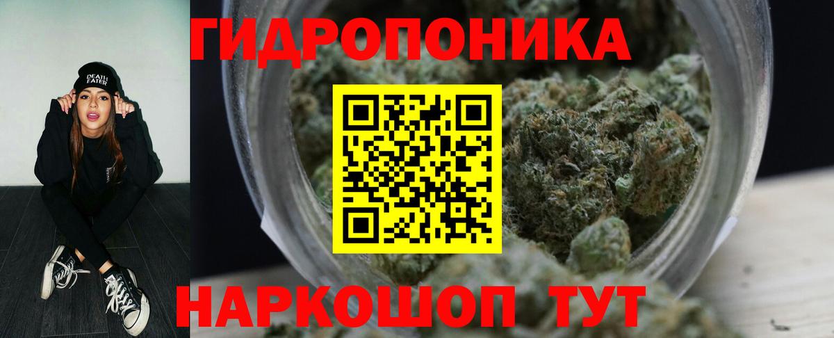 Шишки марихуана Ganja  Конопля сатива  Златоуст  Канабис план 
